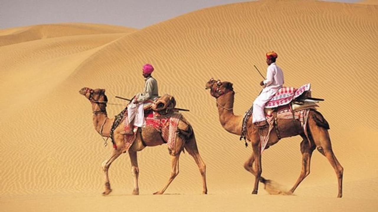 राजस्थान में गर्मी का रौद्र रूप: तंदूर सा तप रहा रेगिस्तान, बच्चों बुजुर्गों को घर से नहीं निकलने की चेतावनी