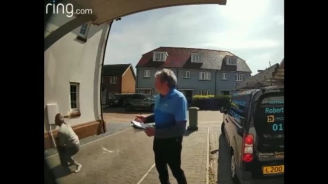 मालकिन को घर के बाहर अजनबी शख्स के साथ देख कुत्ते ने लगा दी पहली मंजिल से छलांग, आगे जो हुआ वो आपको चौंका देगा