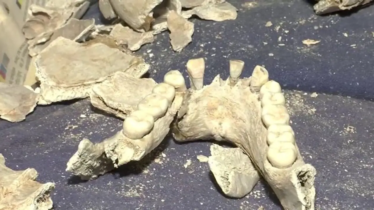 कुएं की खुदाई में मिले 282 भारतीय सैनिकों के कंकाल, 1857 के स्वतंत्रता संग्राम में हुए थे शहीद कुएं की खुदाई में मिले 282 भारतीय सैनिकों के कंकाल, 1857 के स्वतंत्रता संग्राम में हुए थे शहीद