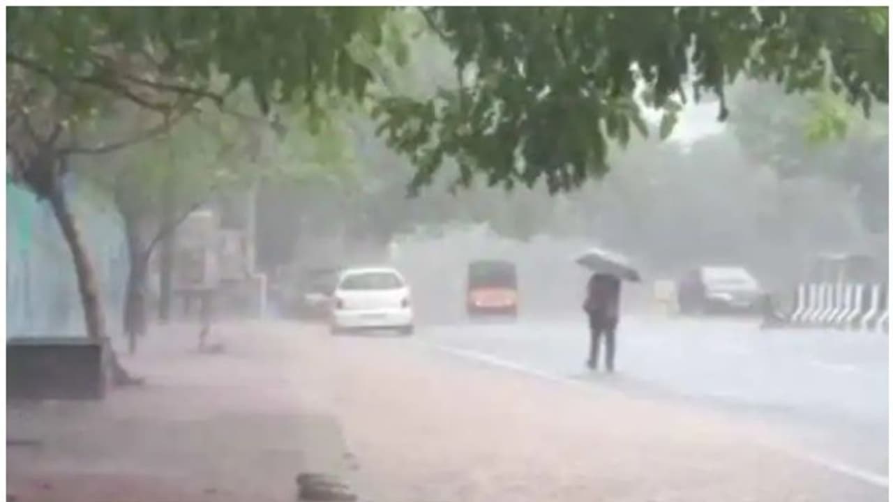 Asani Cyclone : സംസ്ഥാനത്ത് അടുത്ത മണിക്കൂറുകളിൽ മഴ ശക്തമാകാൻ സാധ്യത; ആന്ധ്ര ഒഡീഷ തീരങ്ങളില് കനത്ത മഴ, ആൾനാശം Asani Cyclone : സംസ്ഥാനത്ത് അടുത്ത മണിക്കൂറുകളിൽ മഴ ശക്തമാകാൻ സാധ്യത; ആന്ധ്ര ഒഡീഷ തീരങ്ങളില് കനത്ത മഴ, ആൾനാശം