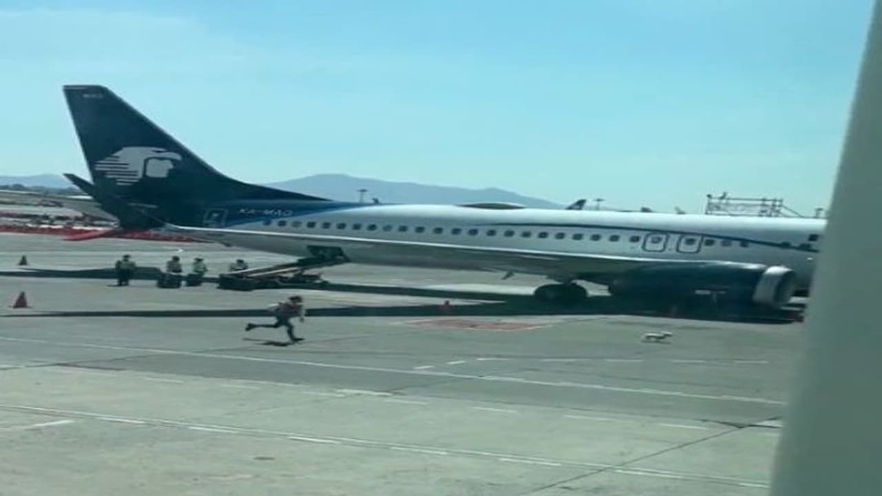 प्लेन के उड़ने से ठीक पहले वहां आ गया कुत्ता, इसके बाद एयरपोर्ट पर हुआ गजब तमाशा, वीडियो हुआ वायरल प्लेन के उड़ने से ठीक पहले वहां आ गया कुत्ता, इसके बाद एयरपोर्ट पर हुआ गजब तमाशा, वीडियो हुआ वायरल