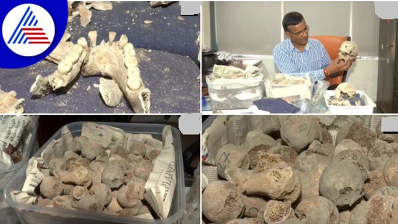 ಮೊದಲ ಸ್ವಾತಂತ್ರ್ಯ ಸಂಗ್ರಾಮದಲ್ಲಿ ಹೋರಾಡಿದ 282 ಭಾರತೀಯ ಸೈನಿಕರ ಅಸ್ಥಿಪಂಜರ ಪತ್ತೆ! ಮೊದಲ ಸ್ವಾತಂತ್ರ್ಯ ಸಂಗ್ರಾಮದಲ್ಲಿ ಹೋರಾಡಿದ 282 ಭಾರತೀಯ ಸೈನಿಕರ ಅಸ್ಥಿಪಂಜರ ಪತ್ತೆ!