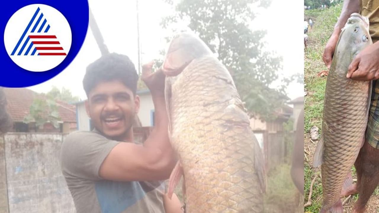 Shivamogga: ಮಲೆನಾಡಿನಲ್ಲಿ ನೋಡುಗರ ಕಣ್ಮನ ಸೆಳೆದ ಕೆರೆಬೇಟೆ ಹಬ್ಬ!