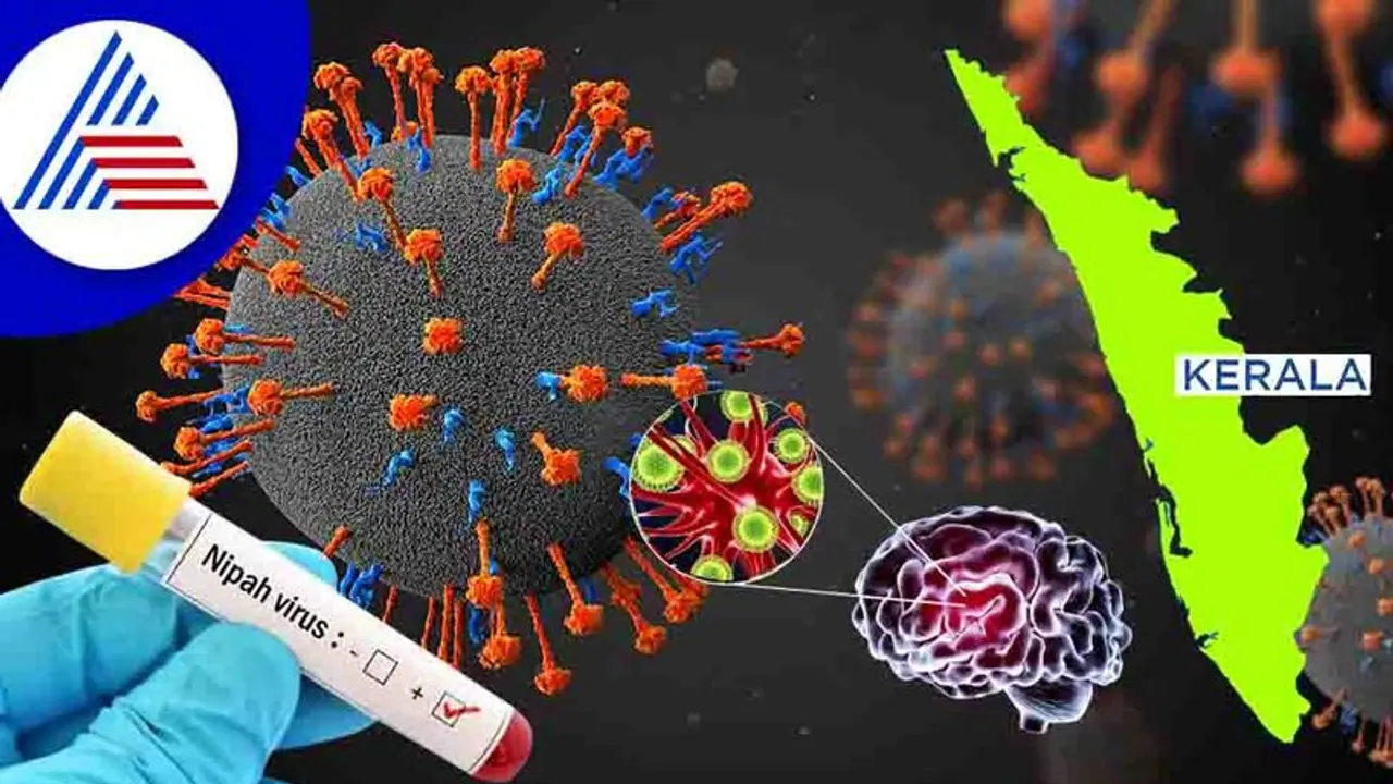 ಹಣ್ಣುಗಳನ್ನು ತಿನ್ನೋ ಮುನ್ನ ಹುಷಾರ್‌, ಮತ್ತೆ ಹರಡುತ್ತಿದೆ ಮಾರಣಾಂತಿಕ ನಿಫಾ !