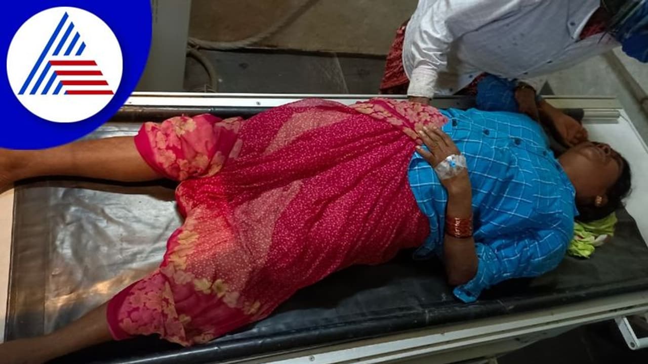 Hassan: ಬಾಳ್ಳುಪೇಟೆ ಬಳಿ ಮತ್ತೆ ಕಾಡಾನೆ ದಾಳಿ: ಕಾರ್ಮಿಕರ ಕೂಗಾಟದಿಂದ ಅದೃಷ್ಟವಶಾತ್ ಪಾರಾದ ಮಹಿಳೆ Hassan: ಬಾಳ್ಳುಪೇಟೆ ಬಳಿ ಮತ್ತೆ ಕಾಡಾನೆ ದಾಳಿ: ಕಾರ್ಮಿಕರ ಕೂಗಾಟದಿಂದ ಅದೃಷ್ಟವಶಾತ್ ಪಾರಾದ ಮಹಿಳೆ