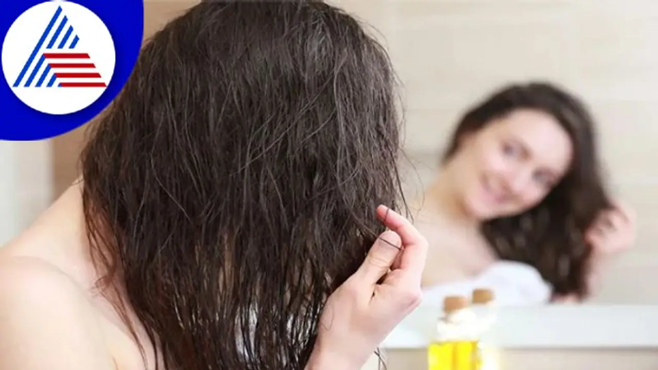 ಕೂದಲಿಗೆ ಎಣ್ಣೆ ಹಚ್ಚಿ ರಾತ್ರಿ ಪೂರ್ತಿ ಹಾಗೇ ಬಿಡಬಹುದಾ ? ಕೂದಲಿಗೆ ಎಣ್ಣೆ ಹಚ್ಚಿ ರಾತ್ರಿ ಪೂರ್ತಿ ಹಾಗೇ ಬಿಡಬಹುದಾ ?