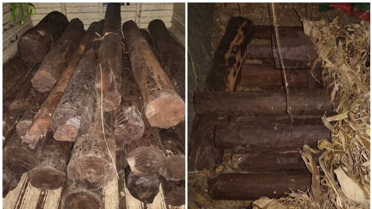 హైదరాబాద్‌లో ఎర్రచందనం స్మగ్లింగ్.. రూ. 60 లక్షల విలువైన దుంగలు స్వాధీనం