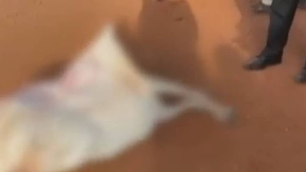 கரும்புலி வேட்டையர்கள் துப்பாக்கி சூடு... மூன்று காவலர்கள் உயிரிழப்பு... ம.பி.யில் பரபரப்பு..! கரும்புலி வேட்டையர்கள் துப்பாக்கி சூடு... மூன்று காவலர்கள் உயிரிழப்பு... ம.பி.யில் பரபரப்பு..!