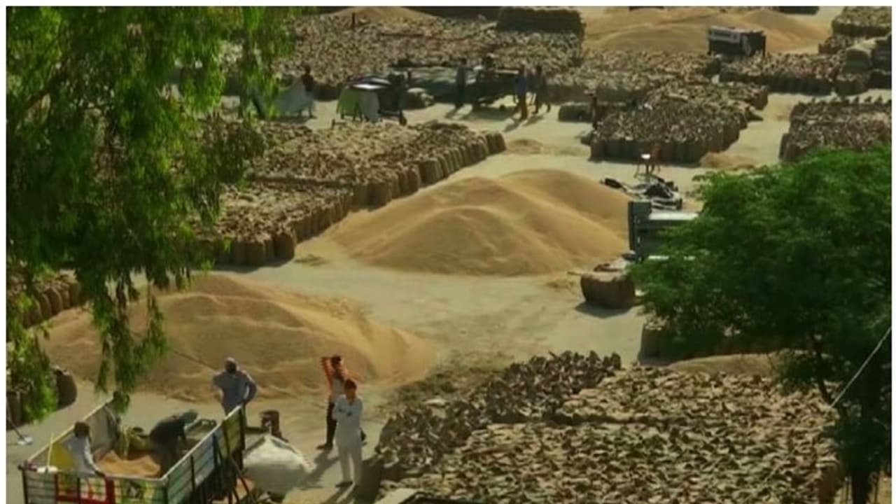 ഗോതമ്പ് കയറ്റുമതി നിരോധിച്ച് ഇന്ത്യ; നടപടി ആഭ്യന്തര വിപണിയിൽ വിലക്കയറ്റം പിടിച്ചുനിർത്താൻ ഗോതമ്പ് കയറ്റുമതി നിരോധിച്ച് ഇന്ത്യ; നടപടി ആഭ്യന്തര വിപണിയിൽ വിലക്കയറ്റം പിടിച്ചുനിർത്താൻ