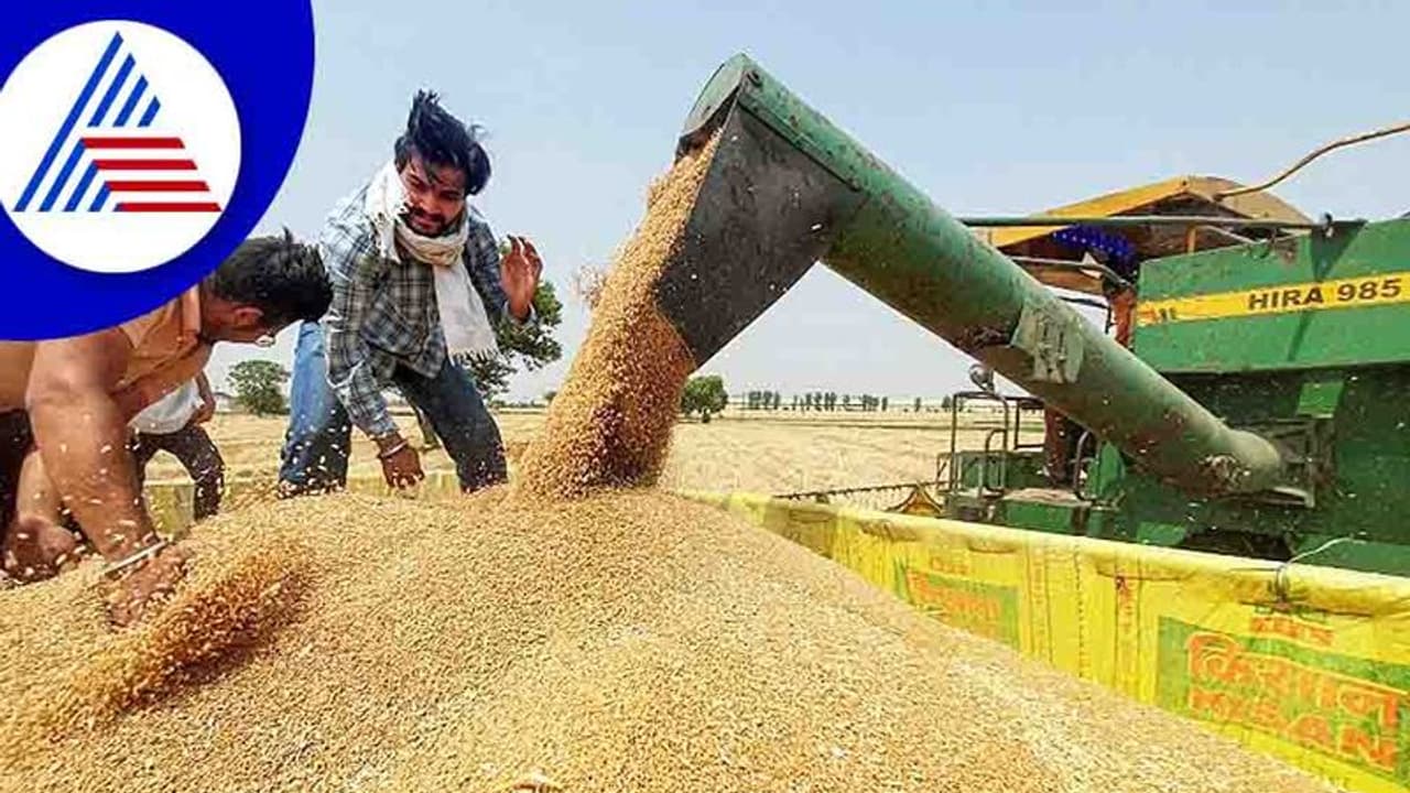 Ban On Wheat Export:ಹಣದುಬ್ಬರ ಏರಿಕೆಗೆ ಕಡಿವಾಣ ಹಾಕಲು ಗೋಧಿ ರಫ್ತಿನ ಮೇಲೆ ನಿಷೇಧ ಹೇರಿದ ಕೇಂದ್ರ ಸರ್ಕಾರ Ban On Wheat Export:ಹಣದುಬ್ಬರ ಏರಿಕೆಗೆ ಕಡಿವಾಣ ಹಾಕಲು ಗೋಧಿ ರಫ್ತಿನ ಮೇಲೆ ನಿಷೇಧ ಹೇರಿದ ಕೇಂದ್ರ ಸರ್ಕಾರ
