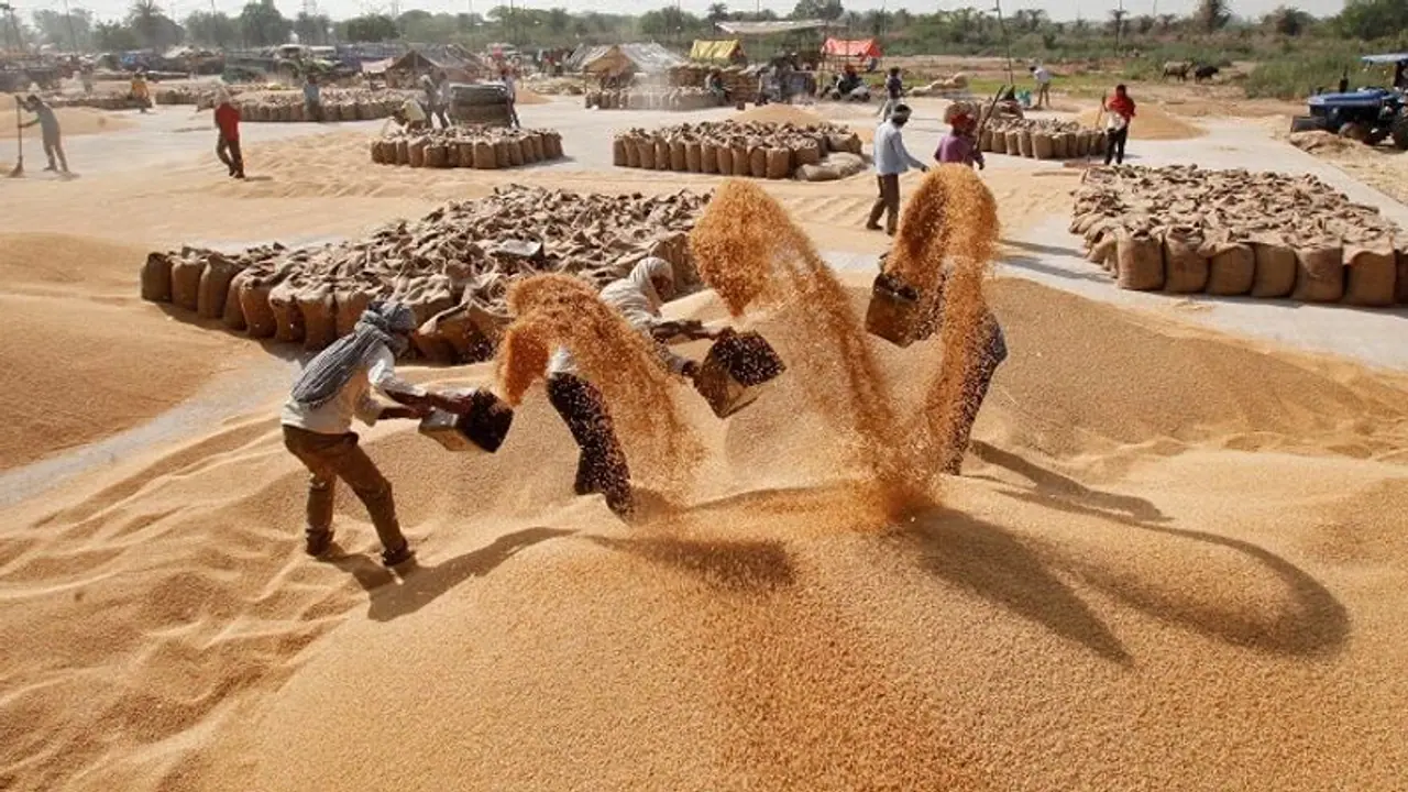 wheat stocks in india: india wheat export ban: 2016ம் ஆண்டுக்குப்பின் கோதுமை கையிருப்பு குறைவதற்கு வாய்ப்பு?