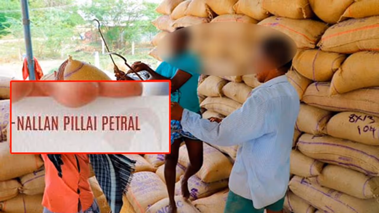 நெல் கொள்முதல் நிலையத்தில் விவசாயிகளிடம் அடாவடியாக மூட்டைக்கு 50 முதல் 55 ரூபாய் லஞ்சம் வாங்கிய ஊழியர் நீக்கம் நெல் கொள்முதல் நிலையத்தில் விவசாயிகளிடம் அடாவடியாக மூட்டைக்கு 50 முதல் 55 ரூபாய் லஞ்சம் வாங்கிய ஊழியர் நீக்கம்