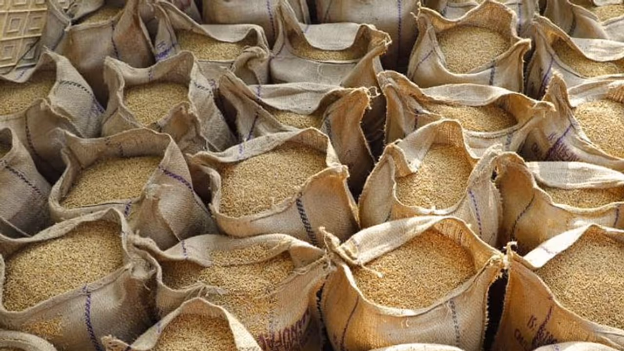 ధాన్యం కొనుగోలుకై అమలాపురం కలెక్టరేట్ వద్ద రైతుల ధర్నా: కొనుగోలు చేస్తామని హామీ ఇచ్చిన అధికారులు 