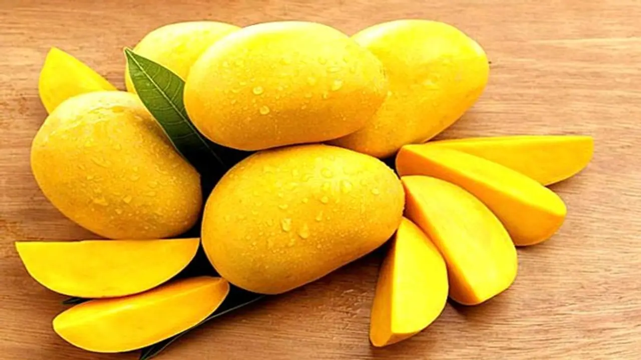 Mango : പ്രമേഹമുള്ളവർക്ക് മാമ്പഴം കഴിക്കാമോ? Mango : പ്രമേഹമുള്ളവർക്ക് മാമ്പഴം കഴിക്കാമോ?