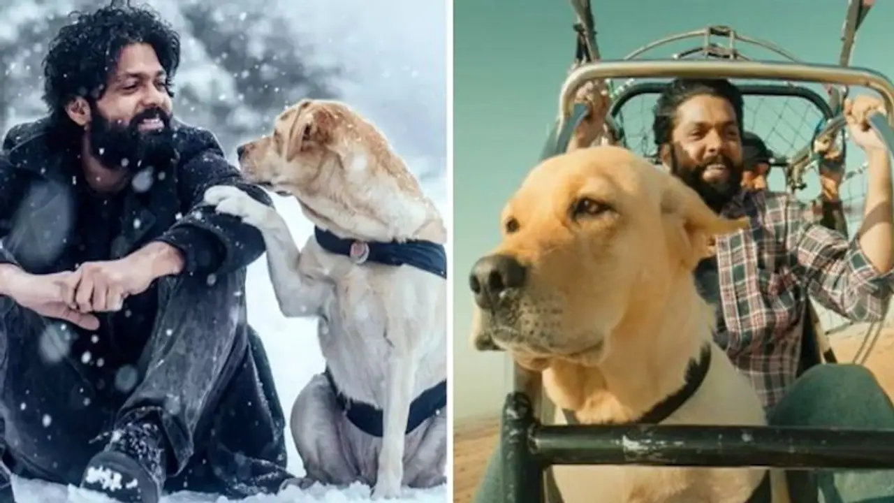 After Yash's KGF Chapter 2, Rakshit Shetty's 777 Charlie to release pan India After Yash's KGF Chapter 2, Rakshit Shetty's 777 Charlie to release pan India