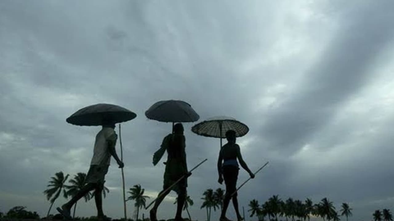 ಮುಂಗಾರು ಇನ್ನೂ 4 ದಿನ ವಿಳಂಬ: ನಿನ್ನೆ ಕೇರಳ ಪ್ರವೇಶಿಸದ ಮುಂಗಾರು ಮಾರುತ ಮುಂಗಾರು ಇನ್ನೂ 4 ದಿನ ವಿಳಂಬ: ನಿನ್ನೆ ಕೇರಳ ಪ್ರವೇಶಿಸದ ಮುಂಗಾರು ಮಾರುತ