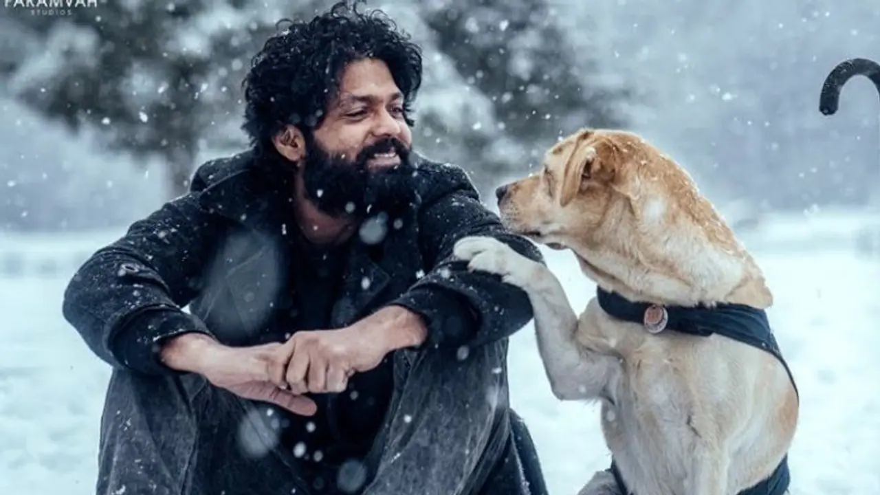 777 Charlie:ఈ కుక్క సినిమా కలెక్షన్స్ తెలిస్తే మతి పోతుంది