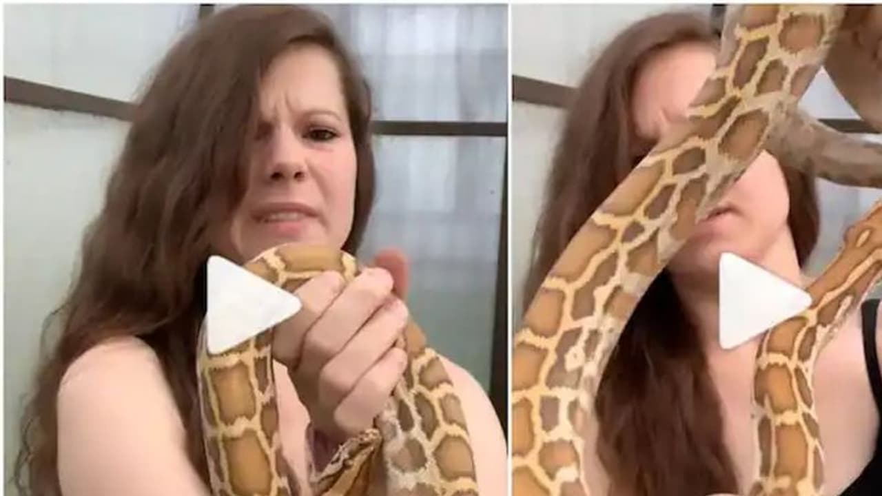 ಹಾವಿನೊಂದಿಗೆ ಹೂವಿನಂತೆ ಹುಡುಗಿಯ ಆಟ: ವಿಡಿಯೋ ವೈರಲ್‌