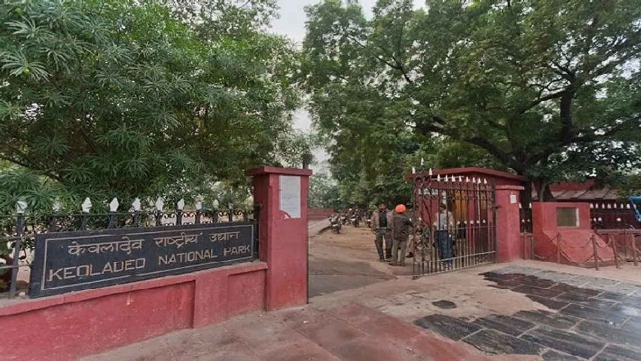 बुद्ध पूर्णिमा का त्यौहार वन्यजीवों लिए भी जरूरी, केवलादेव नेशनल पार्क में आज क्यो की जाती गणना, जाने मामला