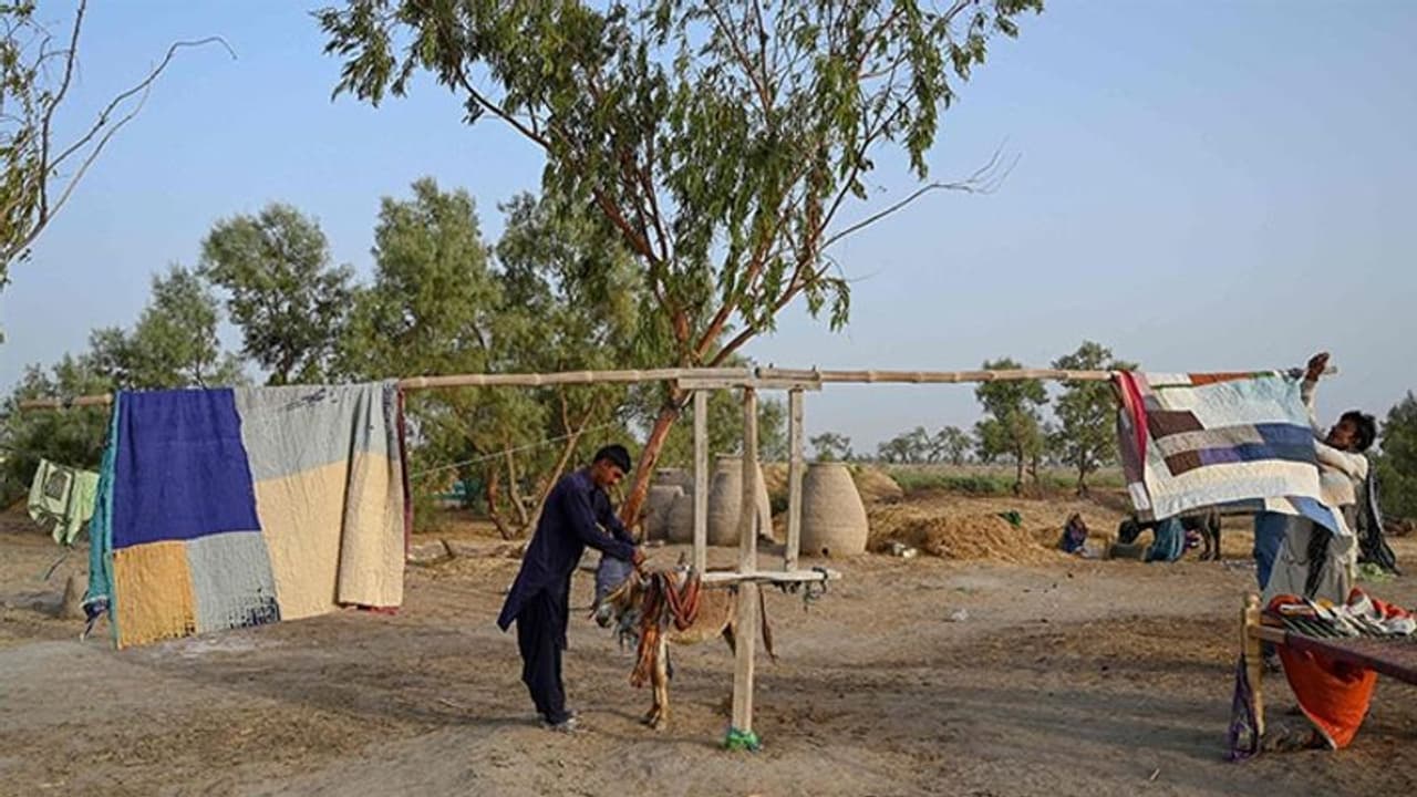 गधों के भरोसे पाकिस्तानी: ये है दुनिया का सबसे गर्म शहर जैकोबाबाद, जहां यूं चलाया जाता है जुगाड़ का पंखा गधों के भरोसे पाकिस्तानी: ये है दुनिया का सबसे गर्म शहर जैकोबाबाद, जहां यूं चलाया जाता है जुगाड़ का पंखा