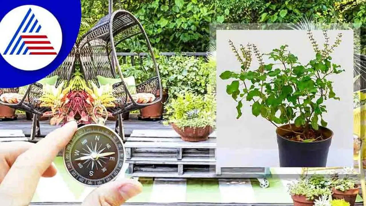 Vastu Tips: ಟೆರೇಸ್ ಮೇಲೆ ಈ ಗಿಡ ಇಟ್ರೆ ಅಶುಭ ಪರಿಣಾಮ ಗ್ಯಾರಂಟಿ! Vastu Tips: ಟೆರೇಸ್ ಮೇಲೆ ಈ ಗಿಡ ಇಟ್ರೆ ಅಶುಭ ಪರಿಣಾಮ ಗ್ಯಾರಂಟಿ!