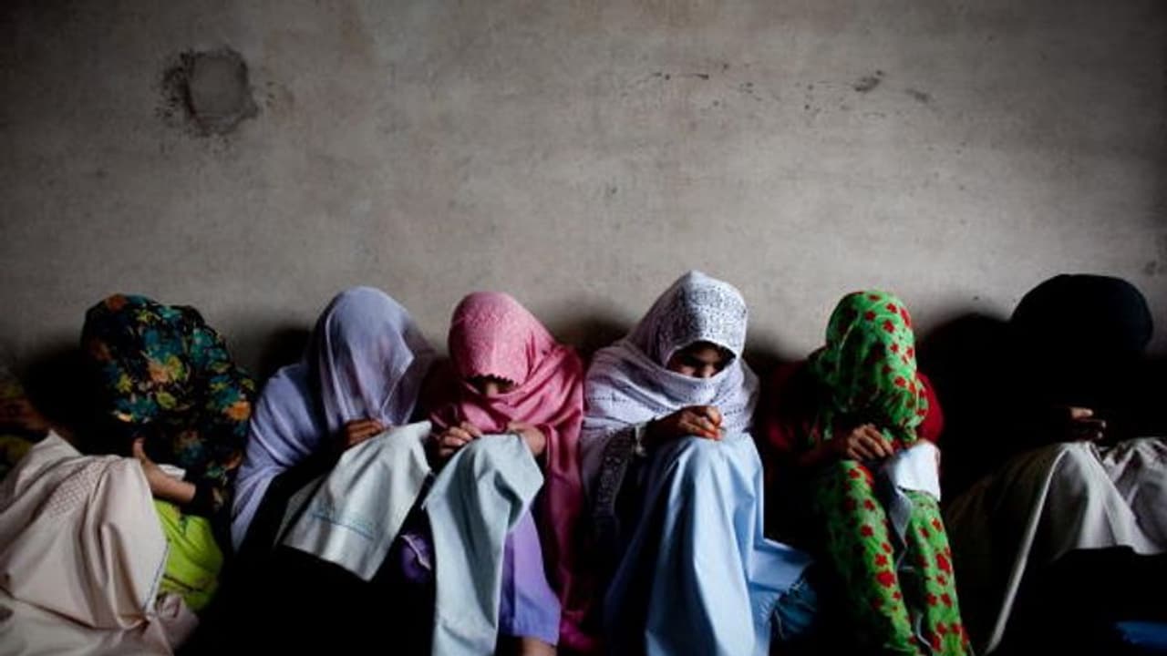 ఎన్నికల్లో మహిళలకు టికెట్లు ఇవ్వడం కూడా ఇస్లాంకు వ్యతిరేకమే: గుజరాత్లో మతపెద్ద వ్యాఖ్యలతో కొత్త వివాదం ఎన్నికల్లో మహిళలకు టికెట్లు ఇవ్వడం కూడా ఇస్లాంకు వ్యతిరేకమే: గుజరాత్లో మతపెద్ద వ్యాఖ్యలతో కొత్త వివాదం