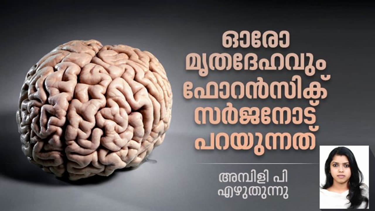 വ്ളോഗര് റിഫ, മോഡല് ഷഹാന; മരണകാരണം മനസ്സിലായത് എങ്ങനെ? വ്ളോഗര് റിഫ, മോഡല് ഷഹാന; മരണകാരണം മനസ്സിലായത് എങ്ങനെ?