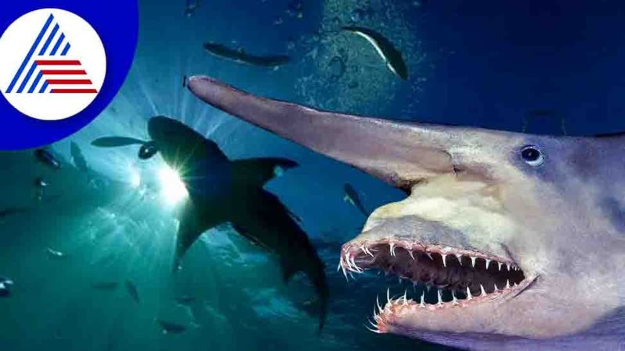 Goblin Shark: ಸಮುದ್ರದಾಳದಲ್ಲಿ ಇದು ಥೇಟ್‌ ಅಸ್ಥಿಪಂಜರದಂತೆಯೇ ಗೋಚರಿಸುತ್ತೆ