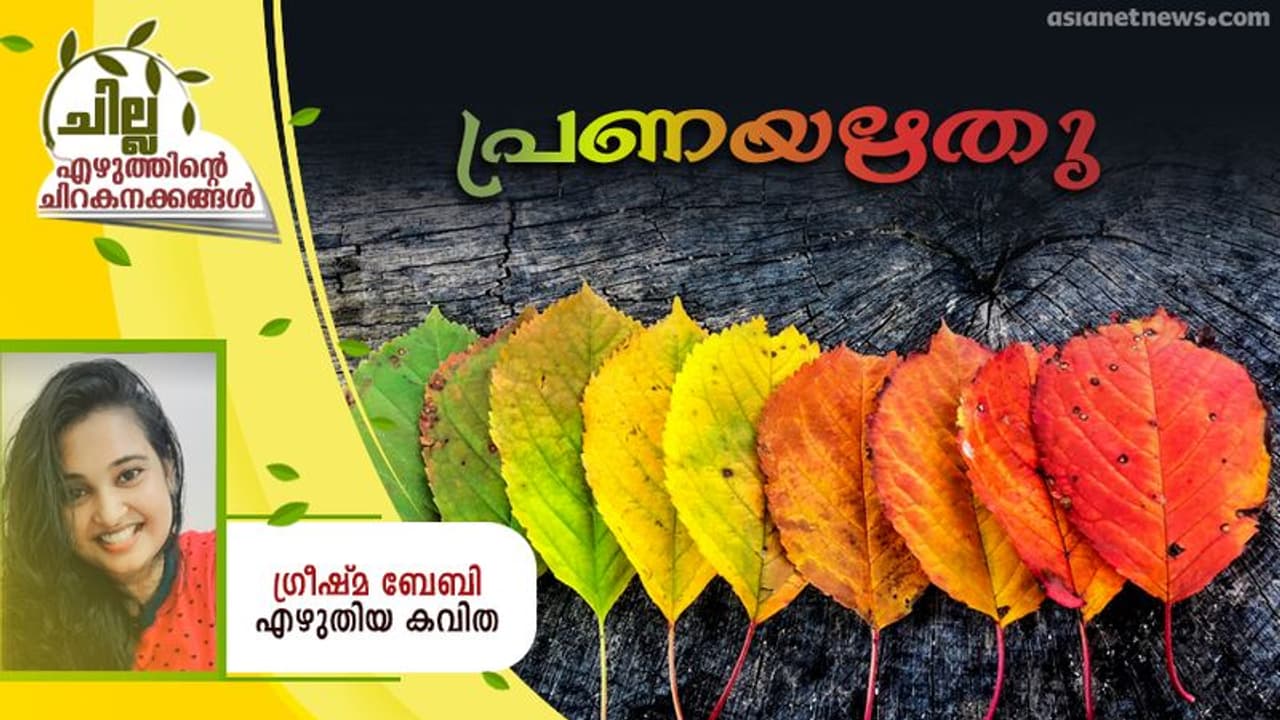 Malayalam Poem : പ്രണയഋതു, ഗ്രീഷ്മ ബേബി എഴുതിയ കവിത Malayalam Poem : പ്രണയഋതു, ഗ്രീഷ്മ ബേബി എഴുതിയ കവിത