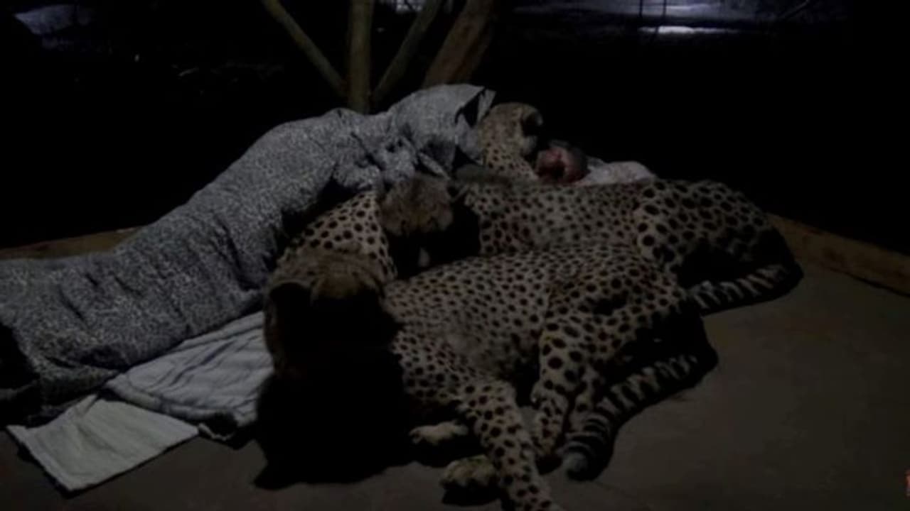 आज देखिए यह दिल दहलाने वाला वीडियो आपके रोंगटे खड़े हो जाएंगे, 6 मिनट के लिए सब भुला बैठेंगे! आज देखिए यह दिल दहलाने वाला वीडियो आपके रोंगटे खड़े हो जाएंगे, 6 मिनट के लिए सब भुला बैठेंगे!