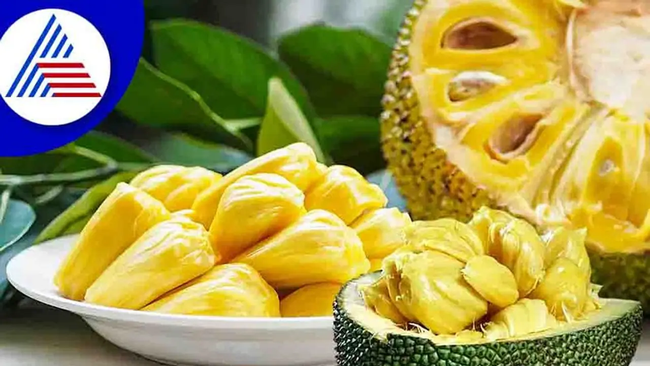 ಮಾಗಿದ ಹಲಸಿನ ಹಣ್ಣಿನ ಆರೋಗ್ಯ ಲಾಭಗಳು ಹಲವು, ಸಿಕ್ಕಿದ್ರೆ ಬಿಡ್ಬೇಡಿ!