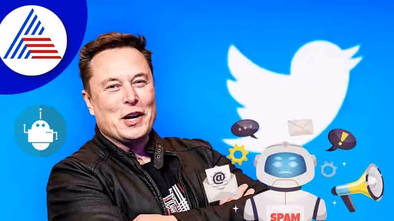 ಏನಿದು ಸ್ಪ್ಯಾಮ್ ಬಾಟ್? ಟ್ವಿಟರ್ ಖರೀದಿಗೆ ಮಸ್ಕ್‌ಗೆ ಅಡ್ಡಿಯಾಗಿದ್ದೇಕೆ?