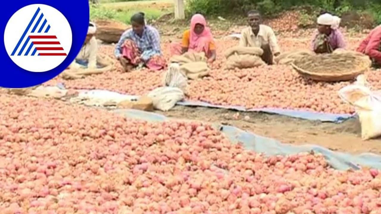 Chitradurga ಈರುಳ್ಳಿ ಬೆಲೆ ಕುಸಿತಕ್ಕೆ ಕಂಗಾಲಾದ ರೈತರು 