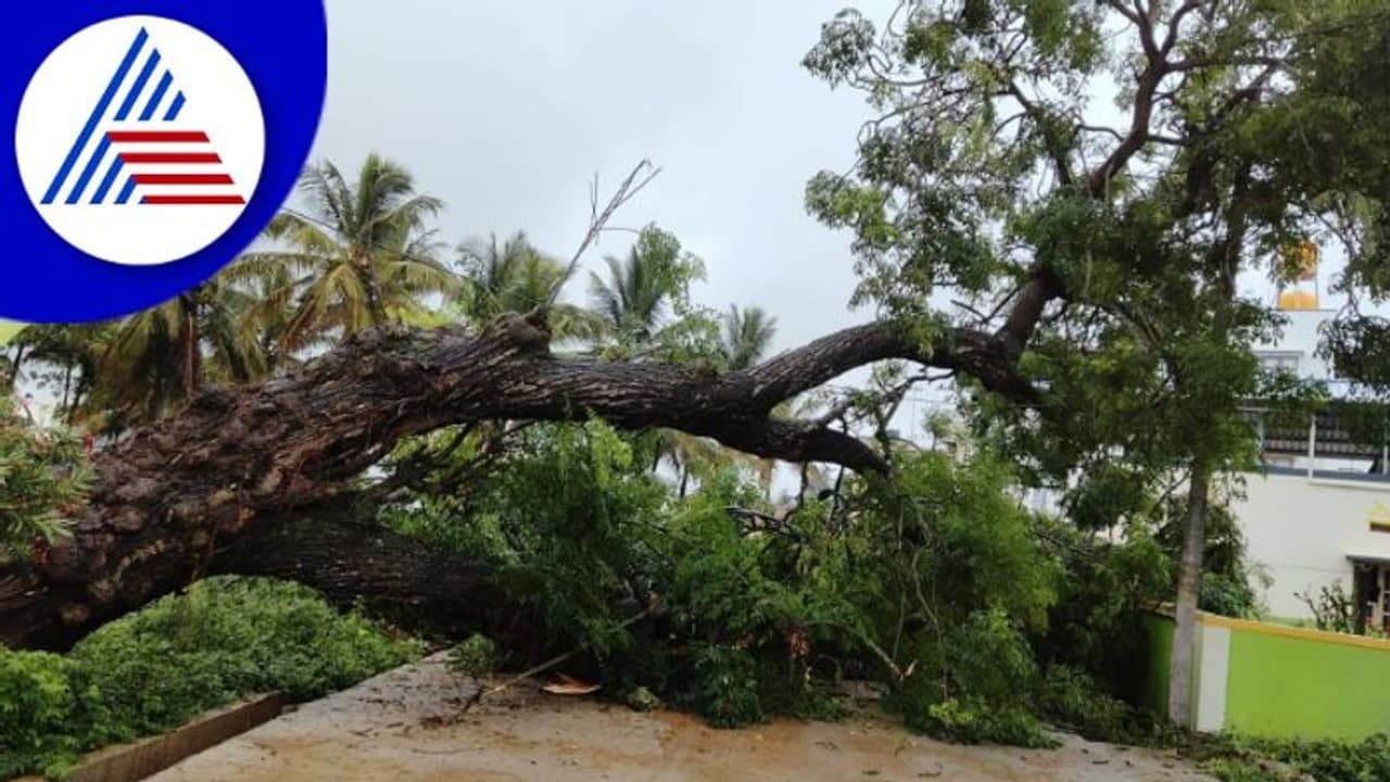 Heavy Rainfall ಹಾಸನ ಶಾಲೆಗಳಿಗೆ ರಜೆ ಘೋಷಿಸಿದ ಜಿಲ್ಲಾಧಿಕಾರಿ