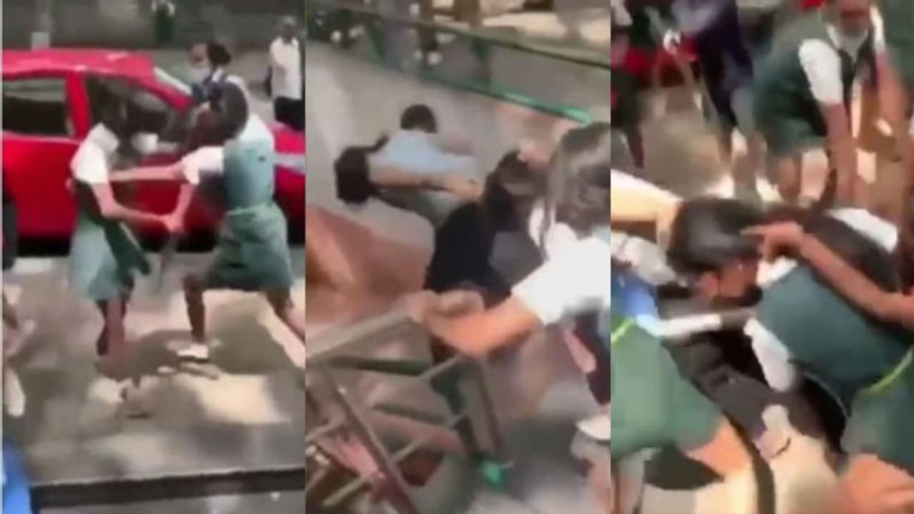 മുടിപിടിച്ച് വലിച്ച്, അലറിക്കരഞ്ഞ് നടുറോഡില് സ്കൂള് വിദ്യാര്ത്ഥിനികളുടെ കൂട്ടത്തല്ല്; വീഡിയോ വൈറല് മുടിപിടിച്ച് വലിച്ച്, അലറിക്കരഞ്ഞ് നടുറോഡില് സ്കൂള് വിദ്യാര്ത്ഥിനികളുടെ കൂട്ടത്തല്ല്; വീഡിയോ വൈറല്