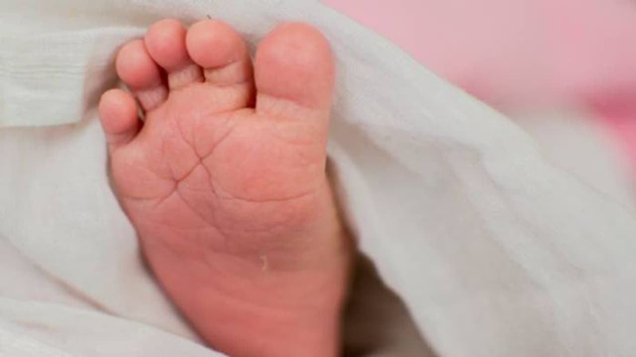 ഏറ്റവും കൂടുതൽ തവണ വാടകയ്ക്ക് ഗർഭപാത്രം നൽകിയ സ്ത്രീ, 13 തവണ! ഏറ്റവും കൂടുതൽ തവണ വാടകയ്ക്ക് ഗർഭപാത്രം നൽകിയ സ്ത്രീ, 13 തവണ!