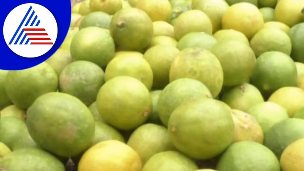 ಬೇಸಿಗೆ ದಾಹಕ್ಕೆ ನಿಂಬೆಹಣ್ಣಿನ ದರ ಏರಿಕೆ: 100 ರೂ ಇದ್ದ ಕೇಜಿ ನಿಂಬೆಹಣ್ಣಿಗೆ ಈಗ 300 ರೂ!