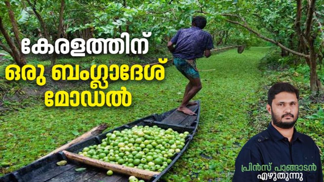 വെള്ളപ്പൊക്കത്തിന് മുടക്കമില്ലാത്ത രാജ്യം കൃഷിയിലൂടെ വരുമാനം നേടുന്നതെങ്ങനെ? മാതൃകയാക്കാൻ ഒരു ബംഗ്ലാദേശ് മോഡൽ വെള്ളപ്പൊക്കത്തിന് മുടക്കമില്ലാത്ത രാജ്യം കൃഷിയിലൂടെ വരുമാനം നേടുന്നതെങ്ങനെ? മാതൃകയാക്കാൻ ഒരു ബംഗ്ലാദേശ് മോഡൽ