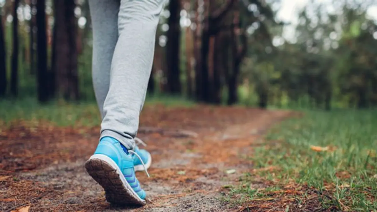Health Tips : ದಿನಕ್ಕೆ 10 ಸಾವಿರ ಸ್ಟೆಪ್ಸ್ ನಡೆಯೋದು ಕಷ್ಟವೇನಲ್ಲ! ಇಷ್ಟ್ ಮಾಡಿ ಸಾಕು Health Tips : ದಿನಕ್ಕೆ 10 ಸಾವಿರ ಸ್ಟೆಪ್ಸ್ ನಡೆಯೋದು ಕಷ್ಟವೇನಲ್ಲ! ಇಷ್ಟ್ ಮಾಡಿ ಸಾಕು