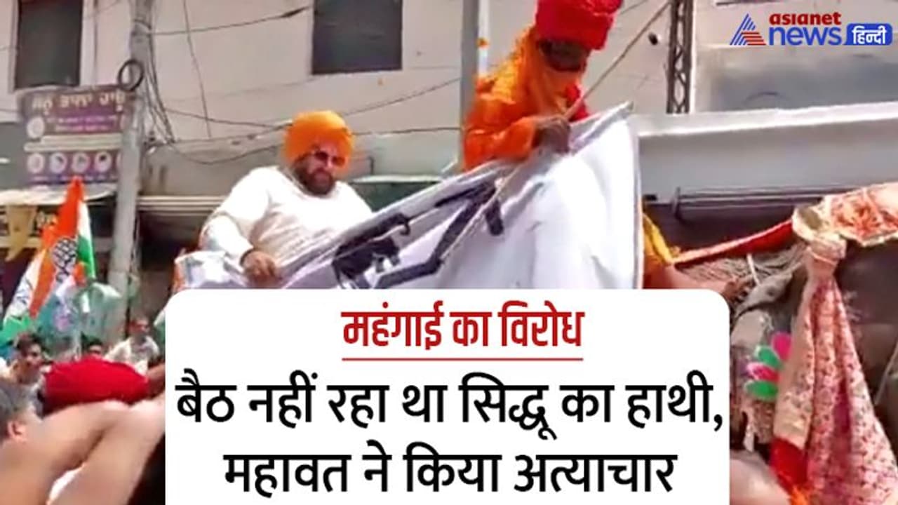  इधर महंगाई के विरोध में हाथी पर बैठकर निकले सिद्धू , उधर रोड रेज मामले में SC ने सुना दी 1 साल की सजा