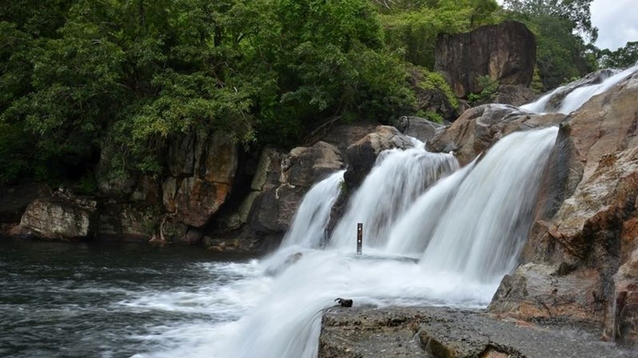 மணிமுத்தாறு அருவியில் வெள்ளப்பெருக்கு… சுற்றுலா பயணிகள் குளிக்க தடை!!