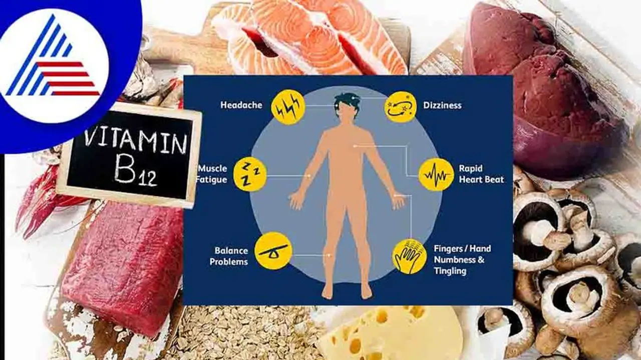 Vitamin B12 Deficiency: ತಲೆ, ಹೊಟ್ಟೆ ಸಮಸ್ಯೆಗೂ ಆಗುತ್ತೆ ಕಾರಣ