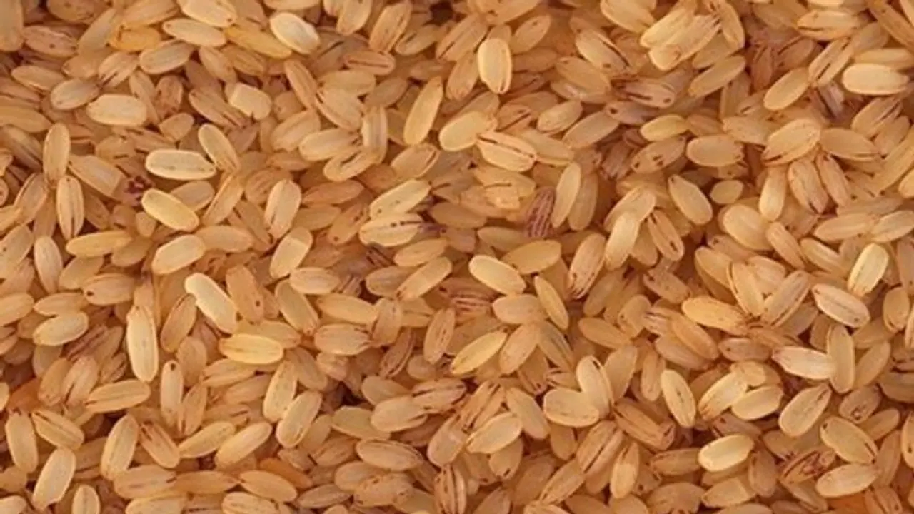 500ലധികം കേന്ദ്രങ്ങളിലേക്ക് 'അരിവണ്ടി', സൗജന്യ വിതരണം; വെള്ള, നീല കാര്ഡുടമകള്ക്ക് പ്രത്യേക നിരക്കില് അരി 500ലധികം കേന്ദ്രങ്ങളിലേക്ക് 'അരിവണ്ടി', സൗജന്യ വിതരണം; വെള്ള, നീല കാര്ഡുടമകള്ക്ക് പ്രത്യേക നിരക്കില് അരി