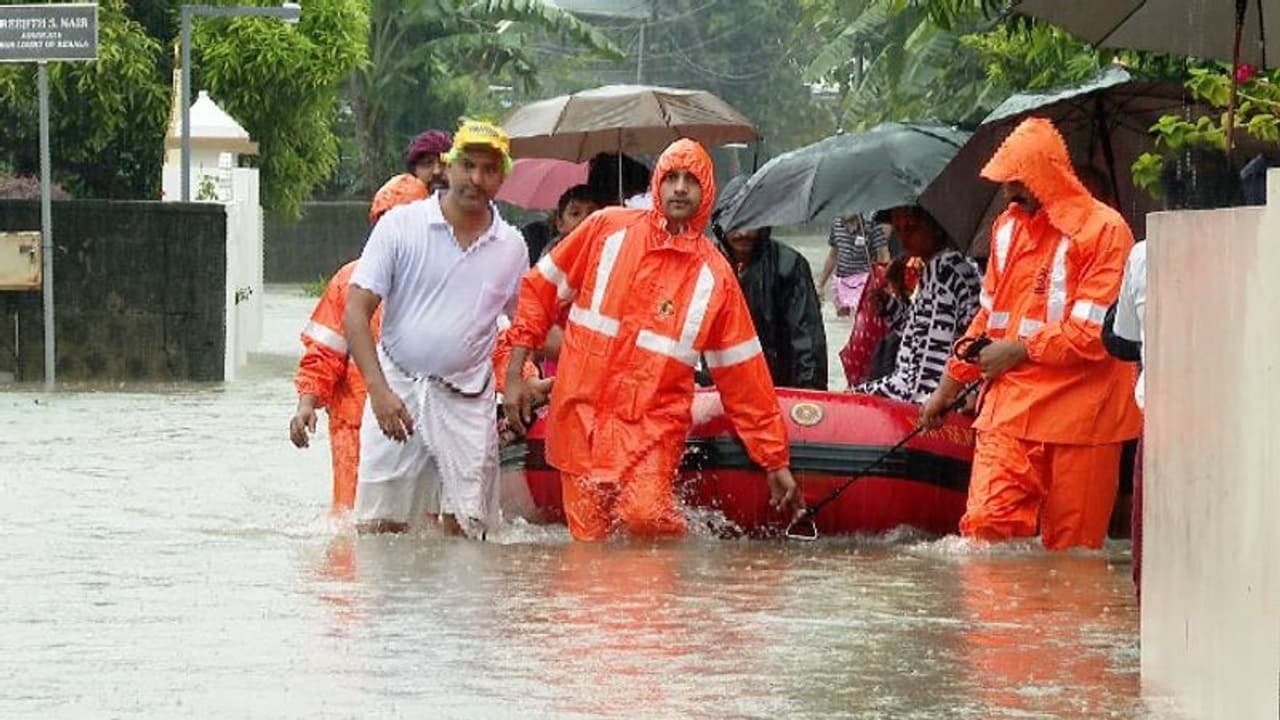 മഴ അതിശക്തം: എറണാകുളം ജില്ലയിൽ കോടിക്കണക്കിന് രൂപയുടെ കൃഷി നശിച്ചു