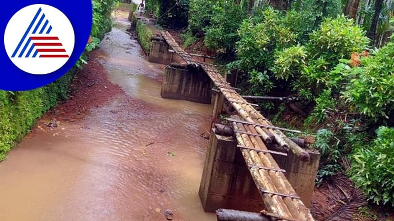 Karwar: ಅಡಿಕೆ ಮರದ ಸೇತುವೆಯೇ ಗತಿ ಈ ಗ್ರಾಮಸ್ಥರಿಗೆ: ಸಾಲ್ಕೋಡು ಹಳ್ಳ ದಾಟಲು ಹರಸಾಹಸ! Karwar: ಅಡಿಕೆ ಮರದ ಸೇತುವೆಯೇ ಗತಿ ಈ ಗ್ರಾಮಸ್ಥರಿಗೆ: ಸಾಲ್ಕೋಡು ಹಳ್ಳ ದಾಟಲು ಹರಸಾಹಸ!