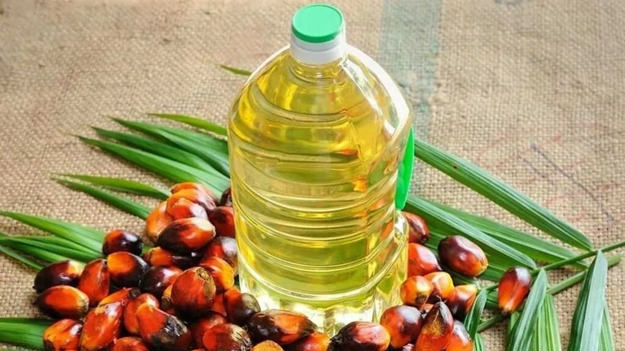 Imports of palm oil in India fall 19 per cent in September Imports of palm oil in India fall 19 per cent in September