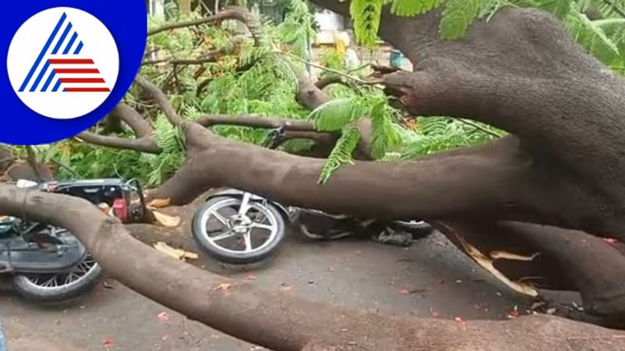 Vijayapura ವರುಣನ ಆರ್ಭಟಕ್ಕೆ ಬೈಕ್ ಸವಾರರ ಮೇಲೆ ಬಿದ್ದ ಮರ Vijayapura ವರುಣನ ಆರ್ಭಟಕ್ಕೆ ಬೈಕ್ ಸವಾರರ ಮೇಲೆ ಬಿದ್ದ ಮರ