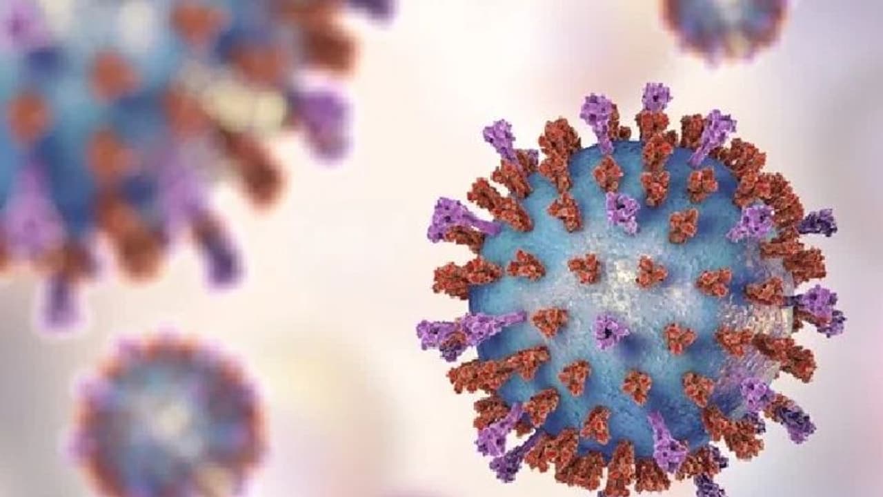 Child Death : കൊറോണയല്ല; 2019ല്‍ ഒരു ലക്ഷത്തിലധികം കുട്ടികളുടെ ജീവനെടുത്ത വൈറസ്