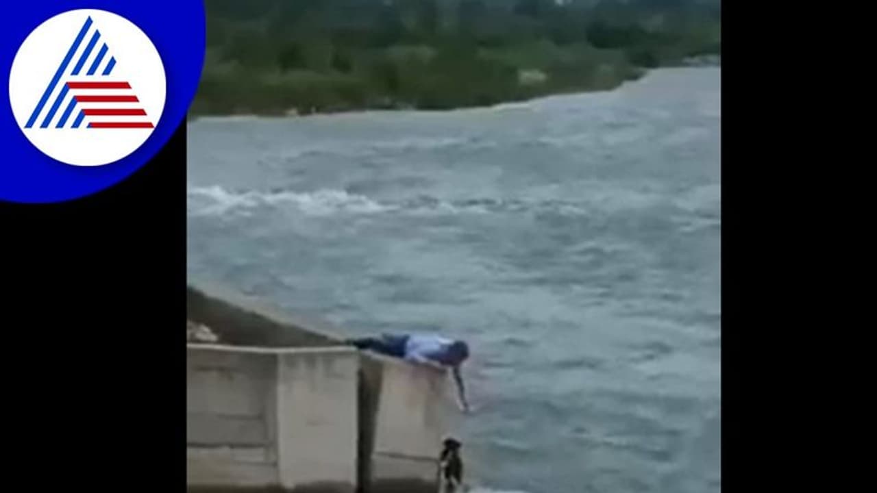 ನದಿಯಲ್ಲಿ ಮುಳುಗುತ್ತಿದ್ದ ಶ್ವಾನವನ್ನು ರಕ್ಷಿಸಿದ ಯುವಕ: ವಿಡಿಯೋ ವೈರಲ್