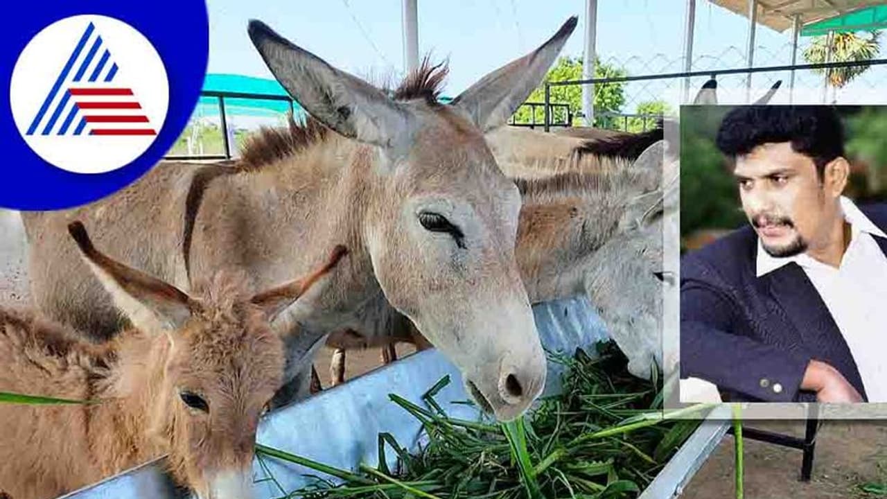 ಕತ್ತೆ ಹಿಂದೆ ಹೋದವ ಇಂದು ಕೋಟ್ಯಾಧಿಪತಿ! ಇವನಿಂದ ಕತ್ತೆ ಹಾಲು ಕೊಳ್ಳೋರ್ಯಾರು ಗೊತ್ತಾ?